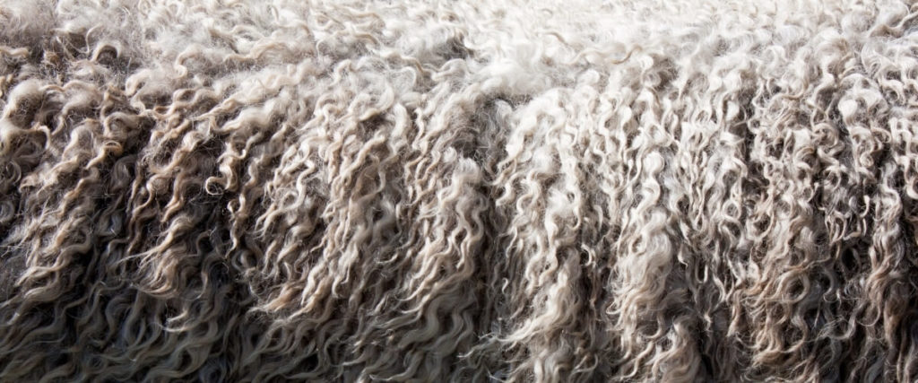 Comment laver la laine en machine